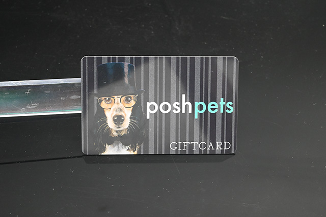 目前接觸式IC卡和感應式IC卡哪種智能卡比較受歡迎 目前接觸式IC卡和感應式IC卡哪種智能卡比較受歡迎